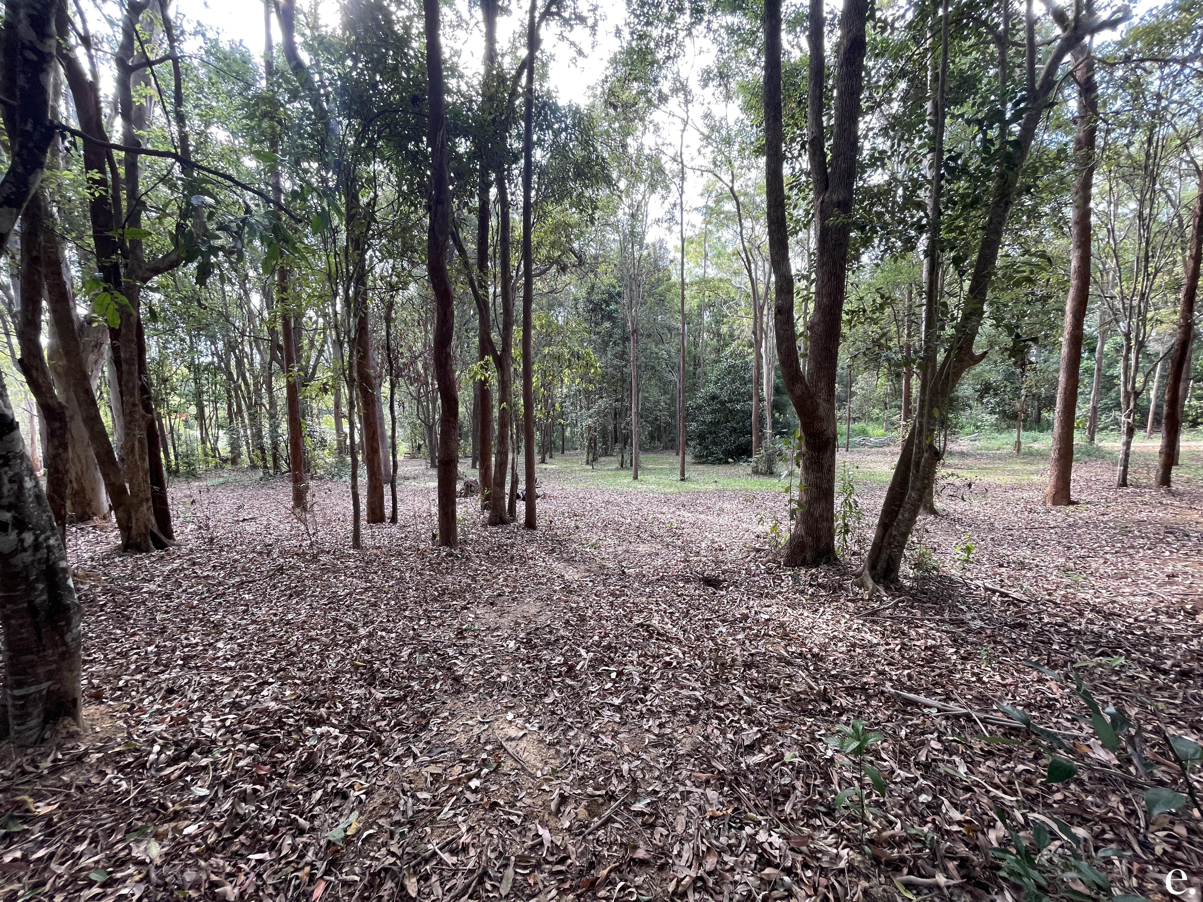 9/3 Penda Street, Yungaburra - Thumbnail 7