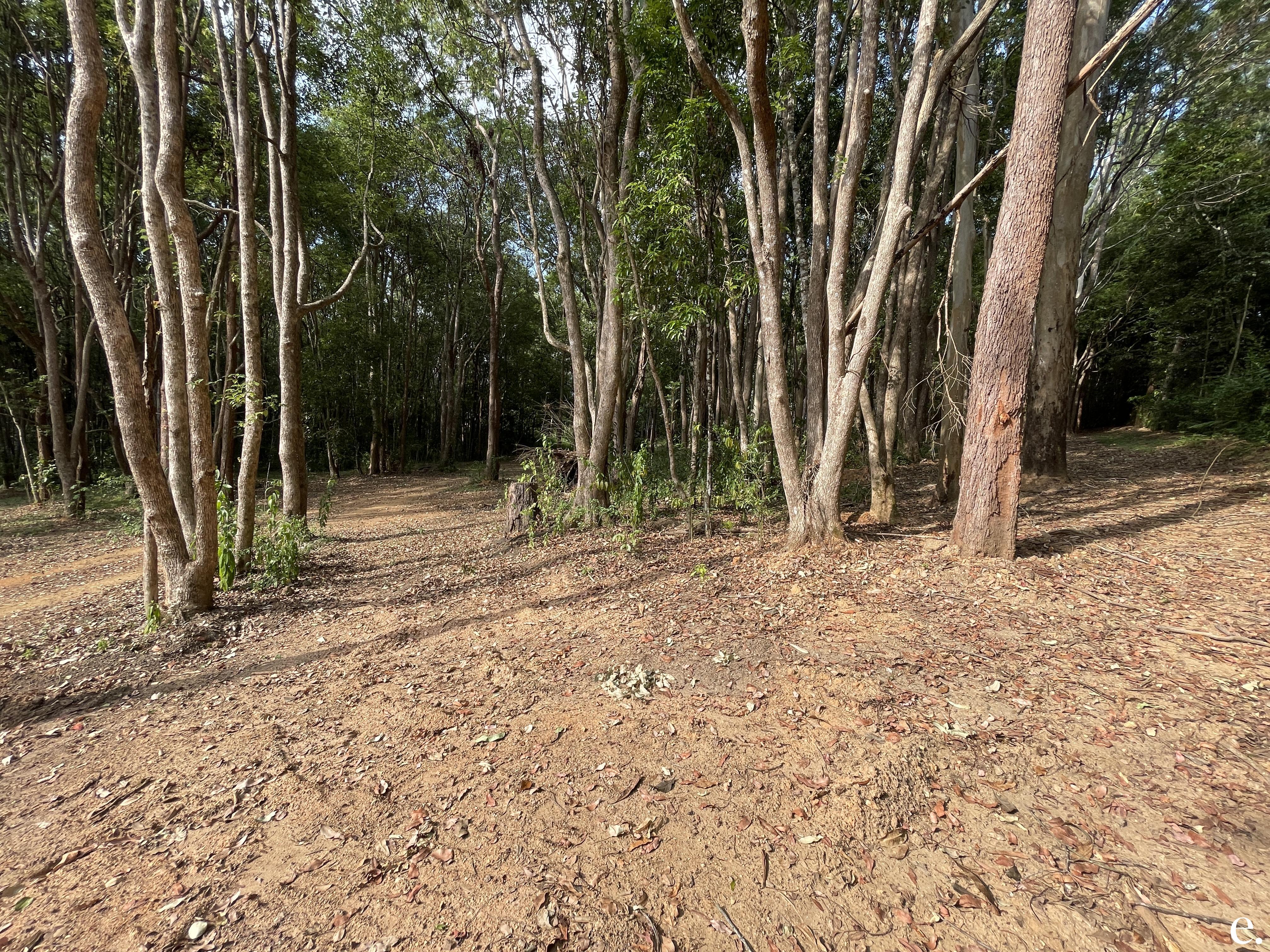 9/3 Penda Street, Yungaburra - Thumbnail 8