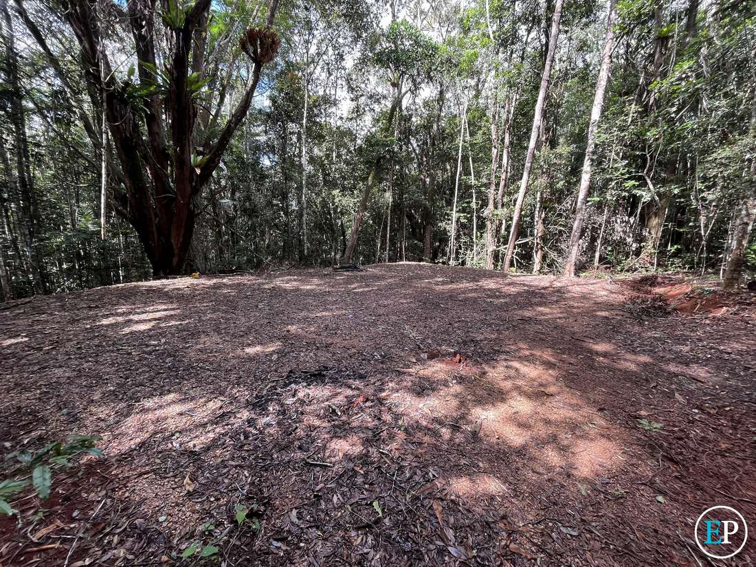 190 Winfield Road, Lake Eacham - Thumbnail 4