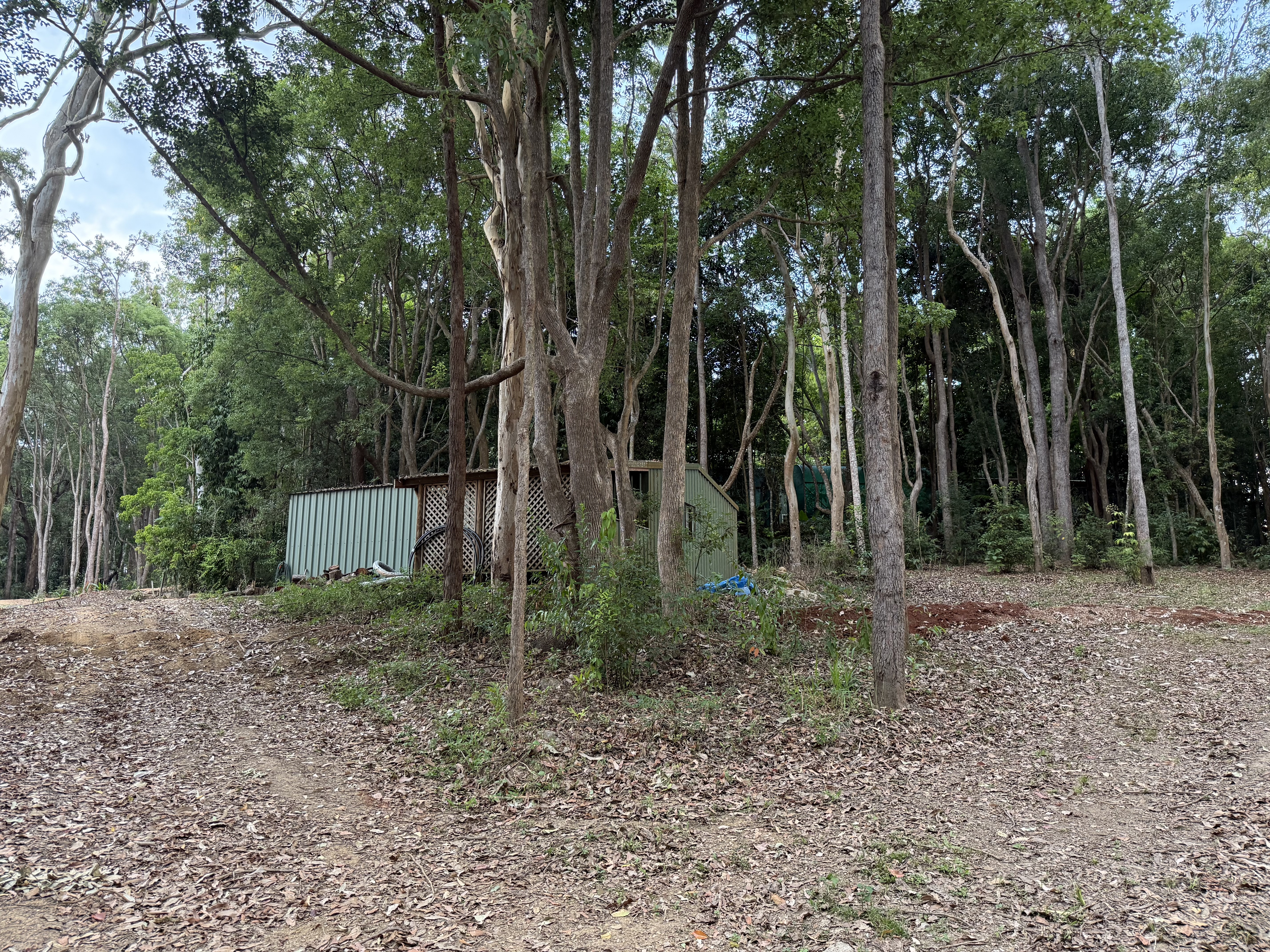 3/3 Penda Street, Yungaburra - Thumbnail 6