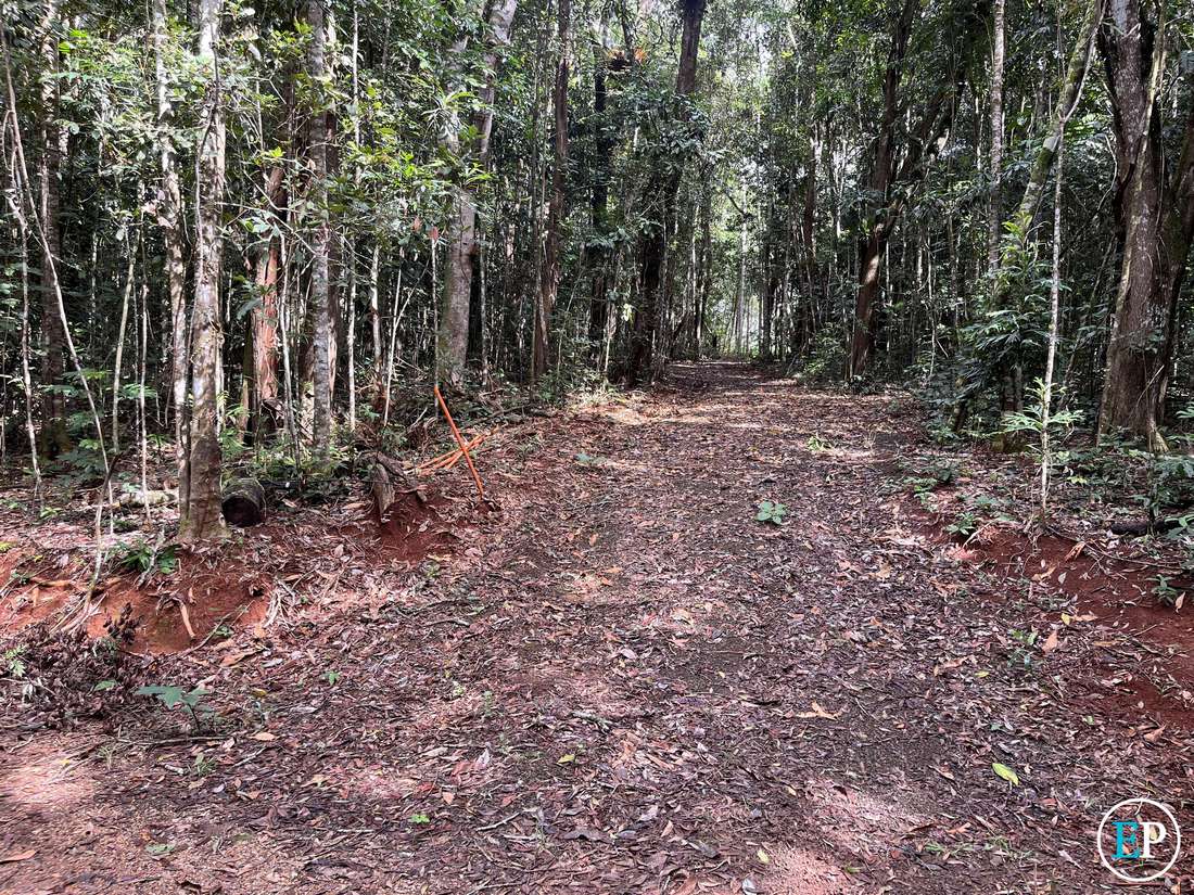 190 Winfield Road, Lake Eacham - Thumbnail 5