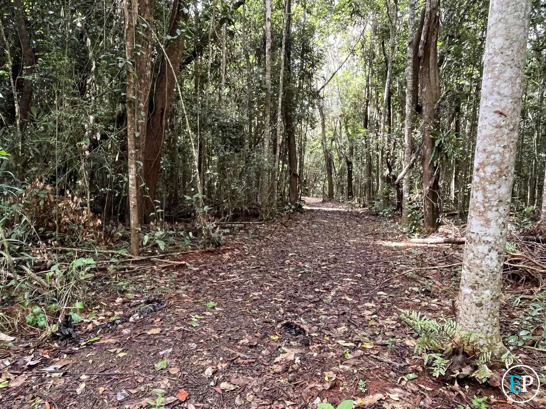 190 Winfield Road, Lake Eacham - Thumbnail 2