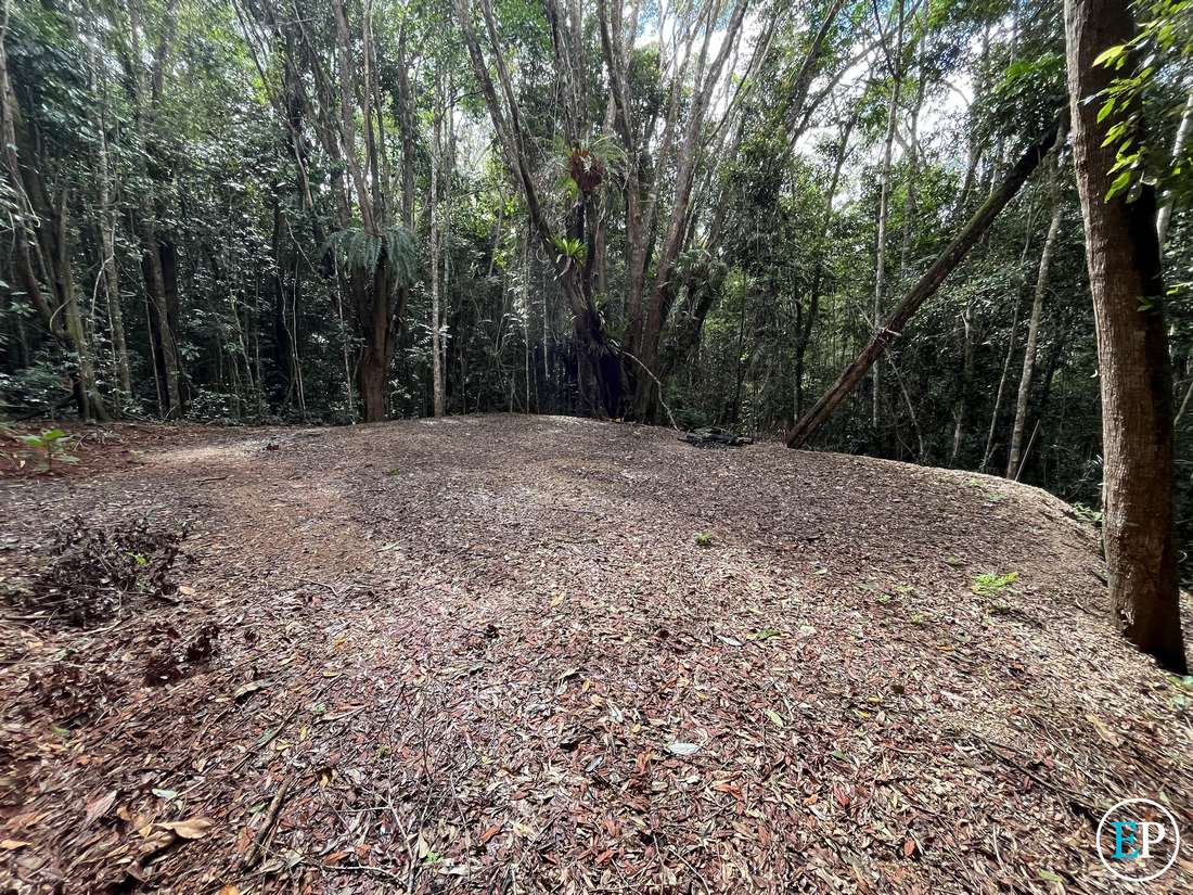 190 Winfield Road, Lake Eacham - Thumbnail 6