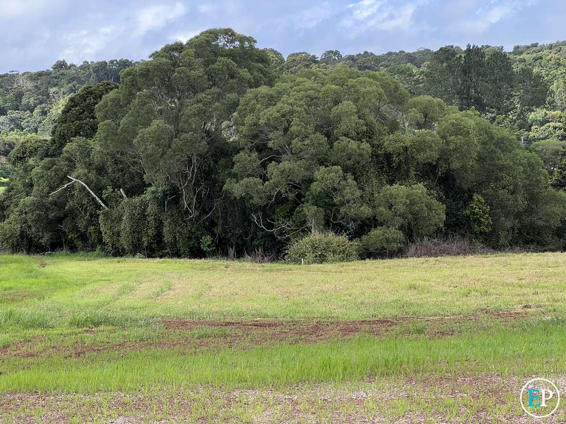Lot 74 Patricia Street, Peeramon - Thumbnail 6