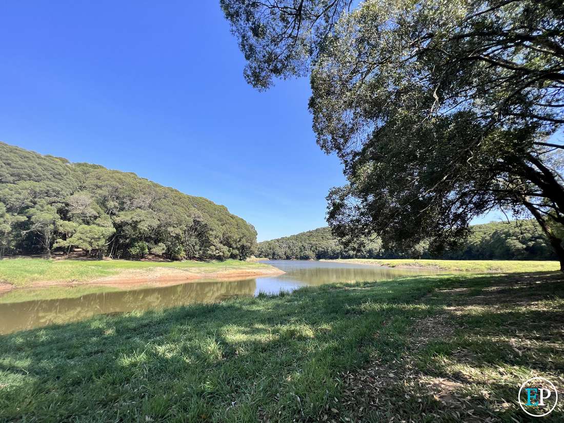 RN 43 Stewart Road, Danbulla - Thumbnail 8