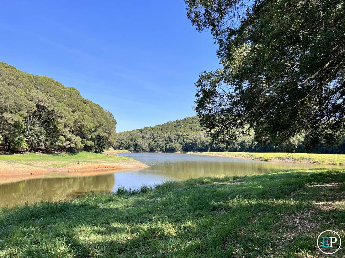 RN 43 Stewart Road, Danbulla - Thumbnail 7
