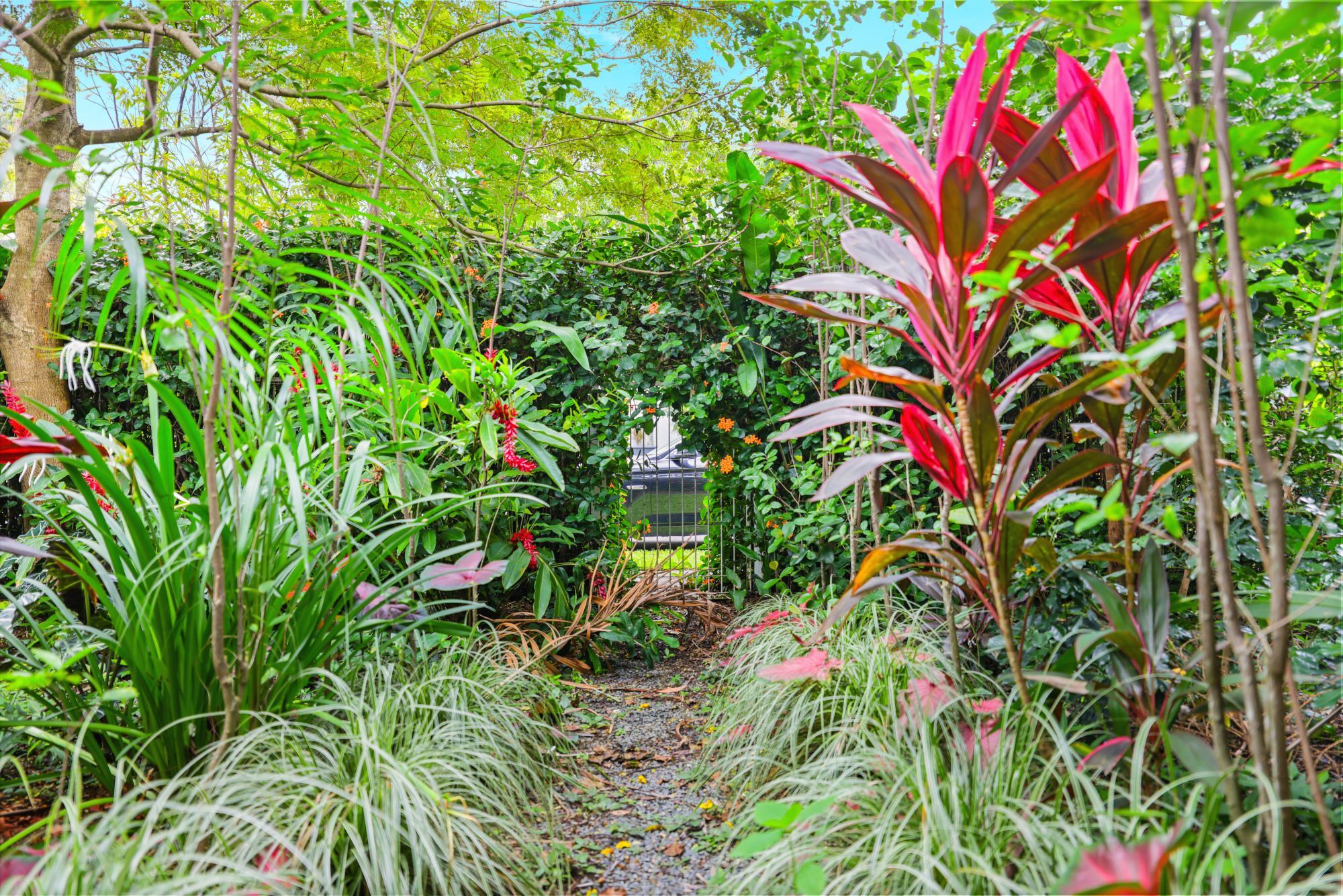 6/23 Springfield Crescent, Manoora - Thumbnail 5