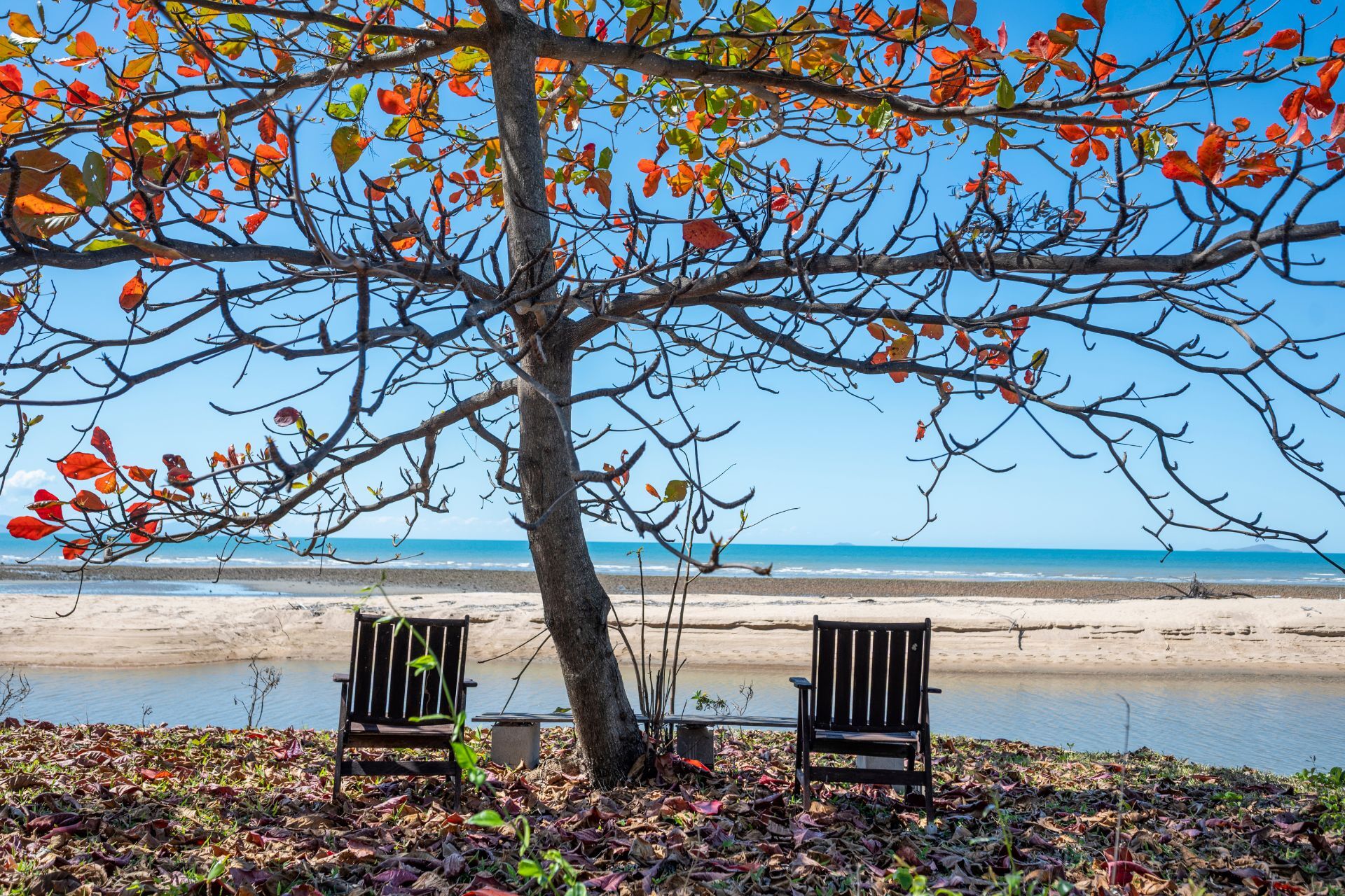 53 Augusta Drive, Balgal Beach - Thumbnail 4