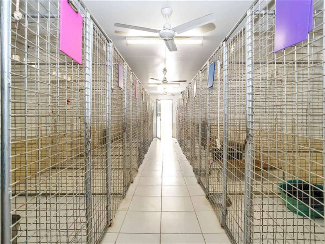 Property Sale at 38 Rocky Waterholes Wollingford Road, GREENMOUNT QLD