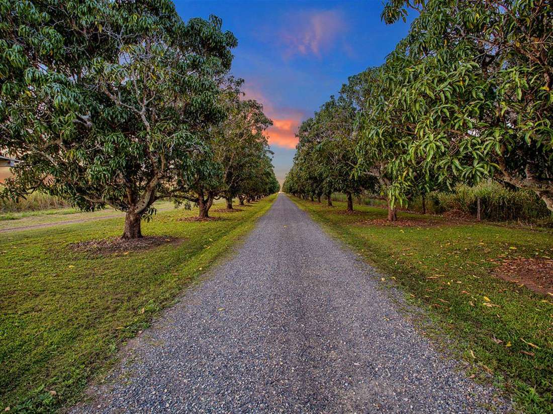 Property Sale at 226 Rocky WaterholesWollingford Road, GREENMOUNT QLD