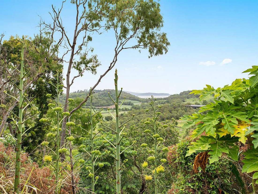 Property Sale at 874 YakapariHabana Road, HABANA QLD, 4740 Explore