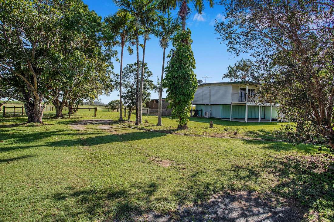 Photo 18 of 126 Mcintyre Street, Calen