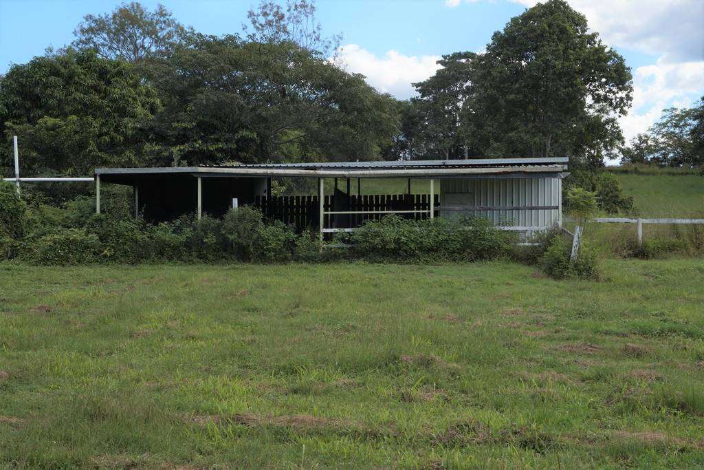 Photo 11 of 289 Geeburga Buthurra Road, Kuttabul