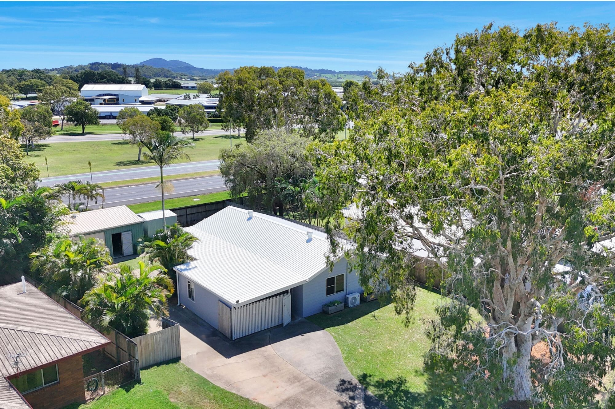 55 Lachlan Street