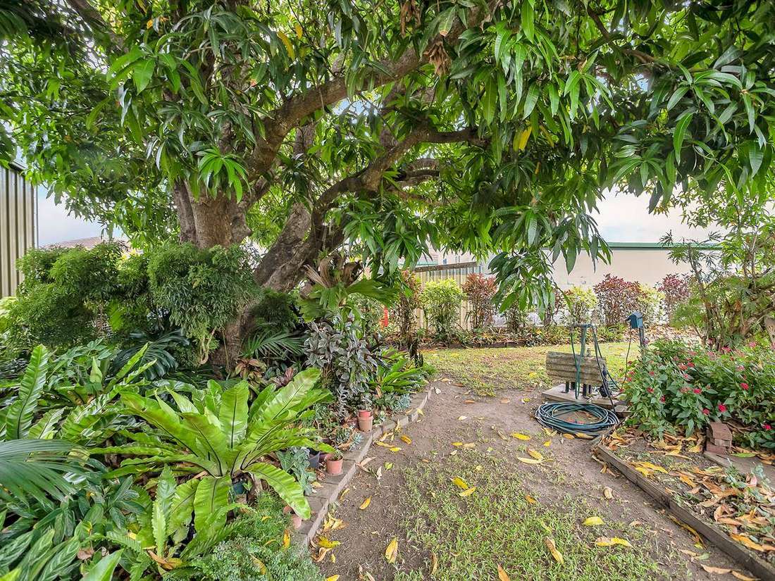 Property Sale at 43 Graffunder Street, SOUTH MACKAY QLD, 4740 Explore