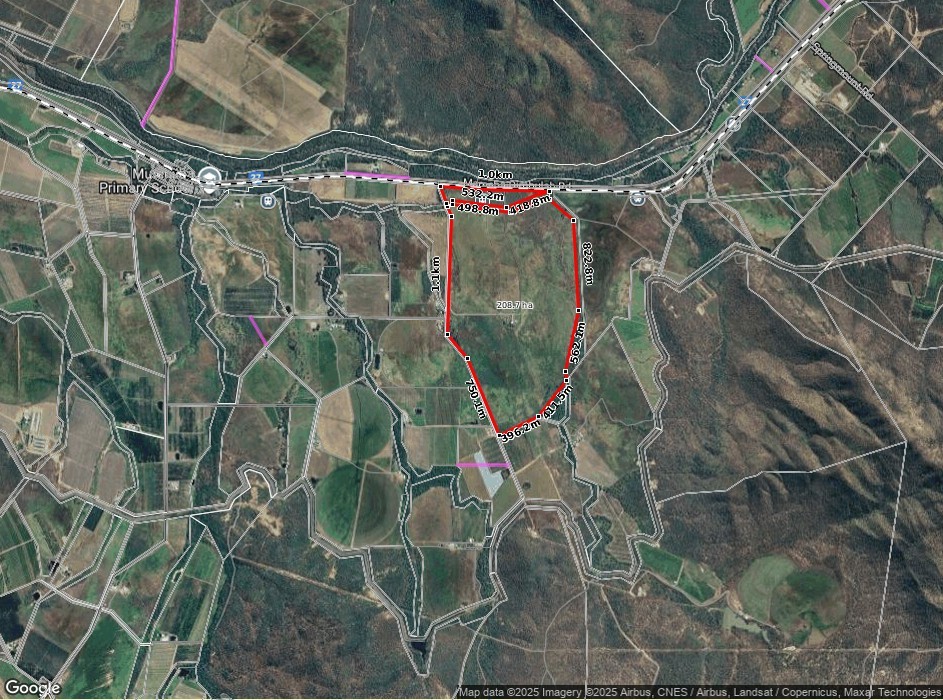 115 Algoma Road, Mutchilba - Thumbnail 6