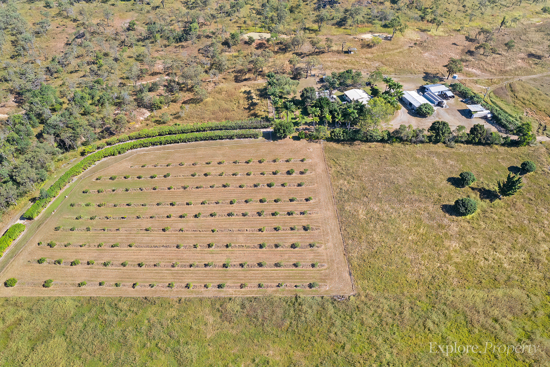 362 Springmount Road, Mutchilba - Thumbnail 2