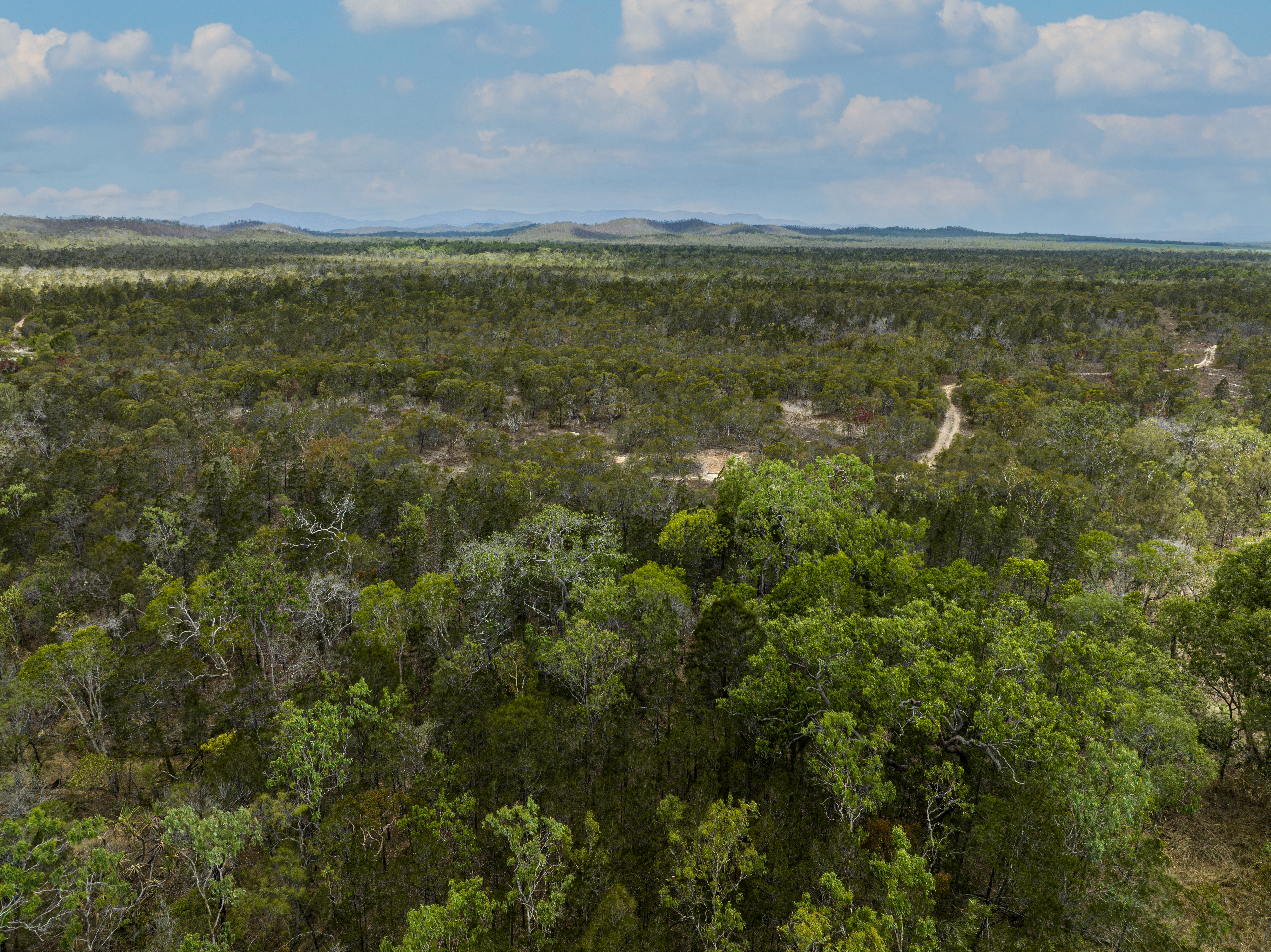 Pine Close, Biboohra - Thumbnail 4