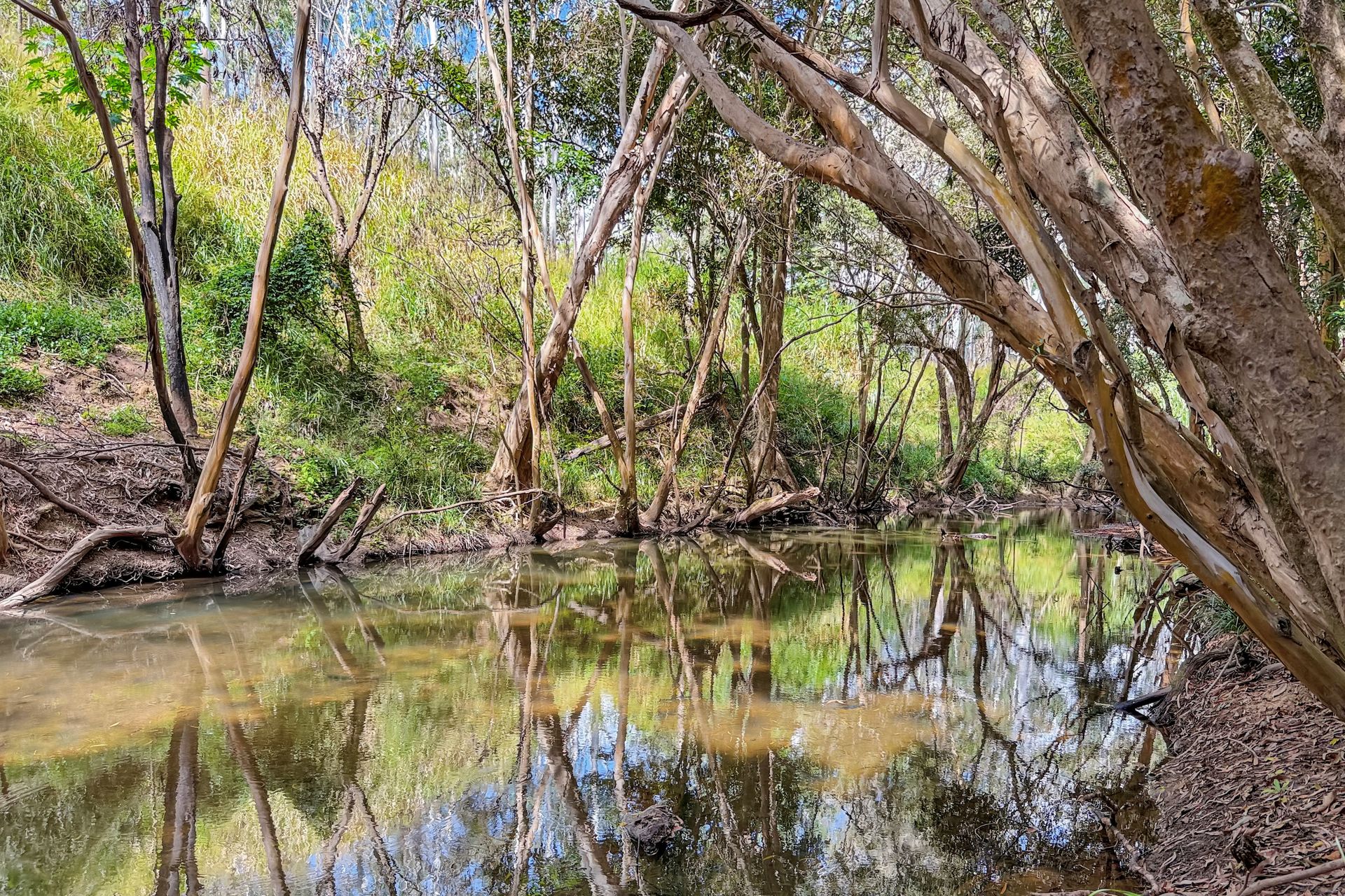 182 Kanervo Road, Koah - Image 1