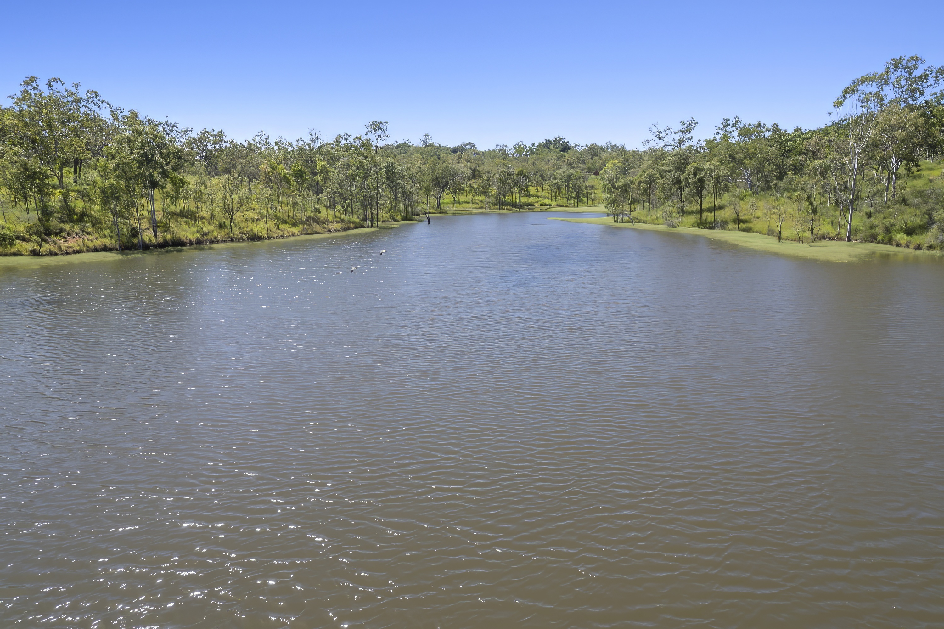 484 Fichera Road, Mareeba - Thumbnail 3