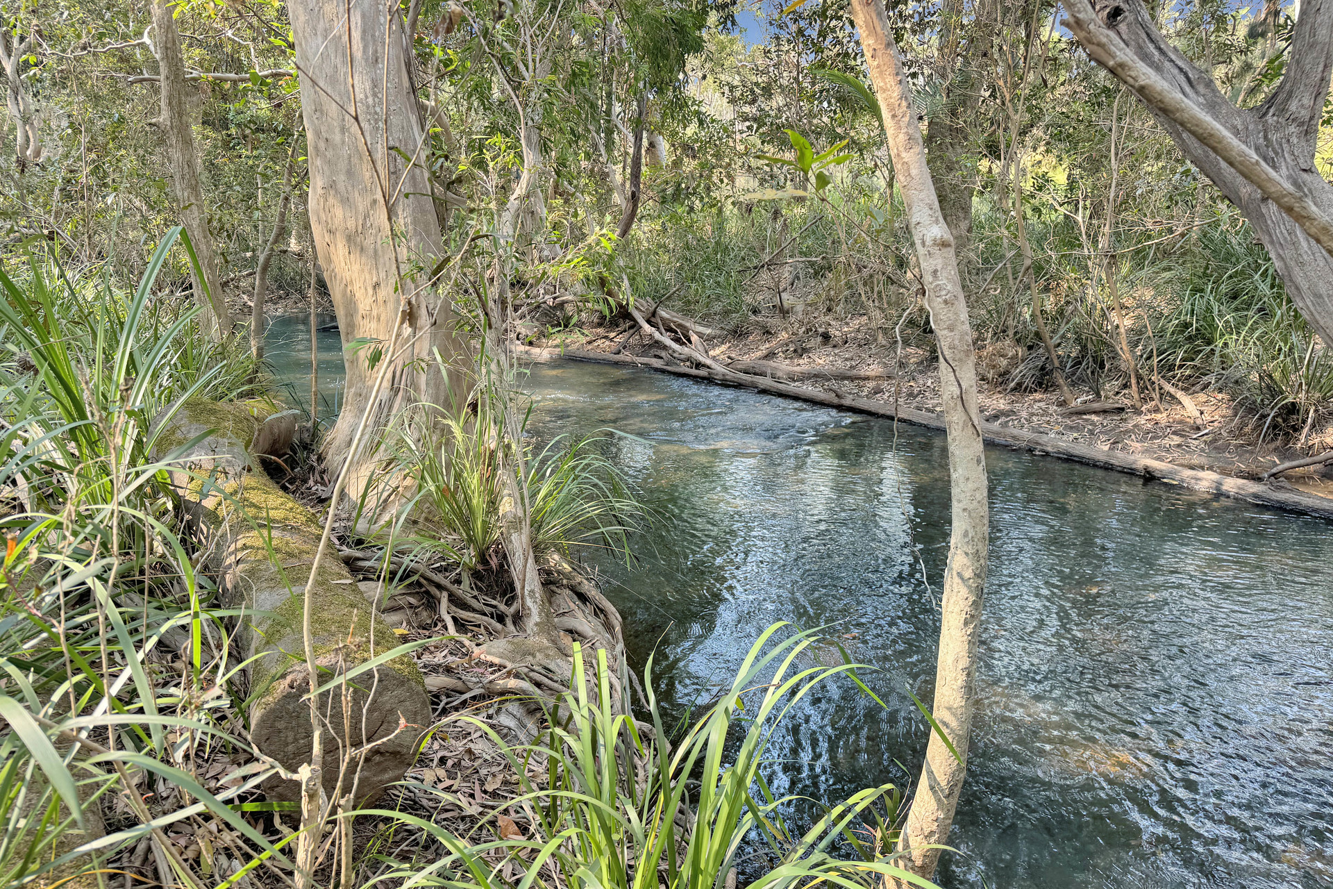 3345 Kennedy Highway, Mareeba - Thumbnail 6