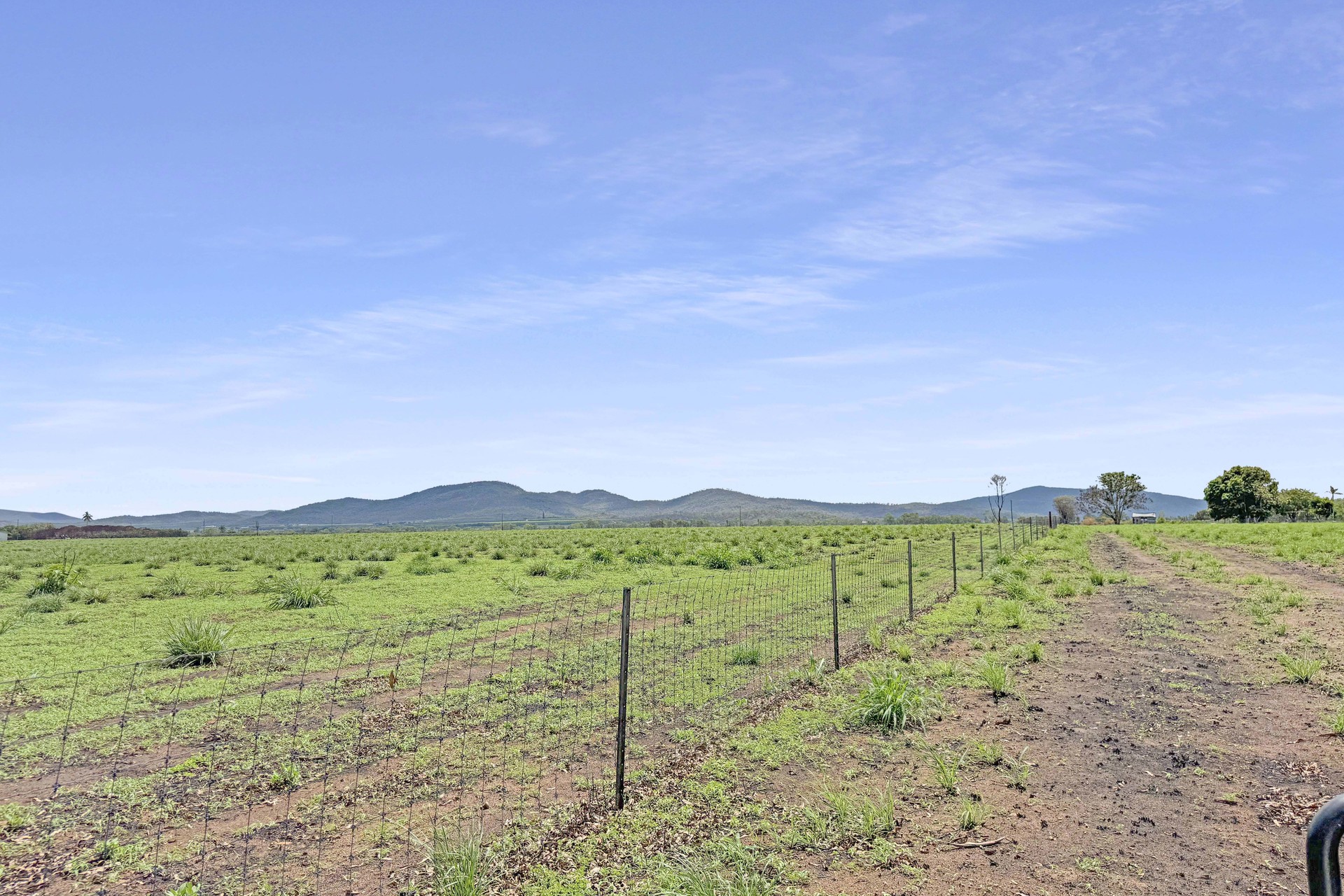 Mutchilba Road, Mutchilba - Thumbnail 4