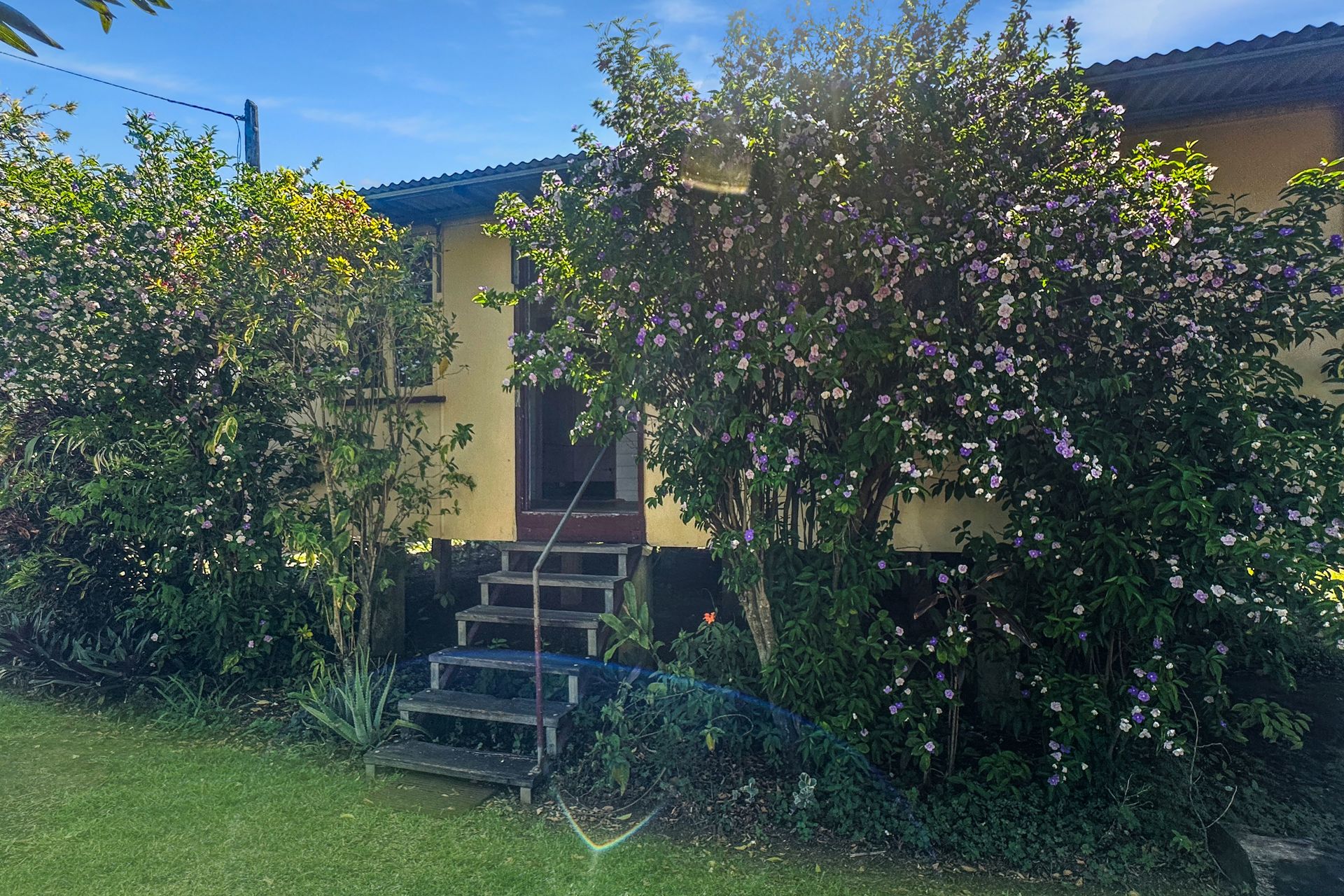 56 Strattmann Street, Mareeba - Thumbnail 4