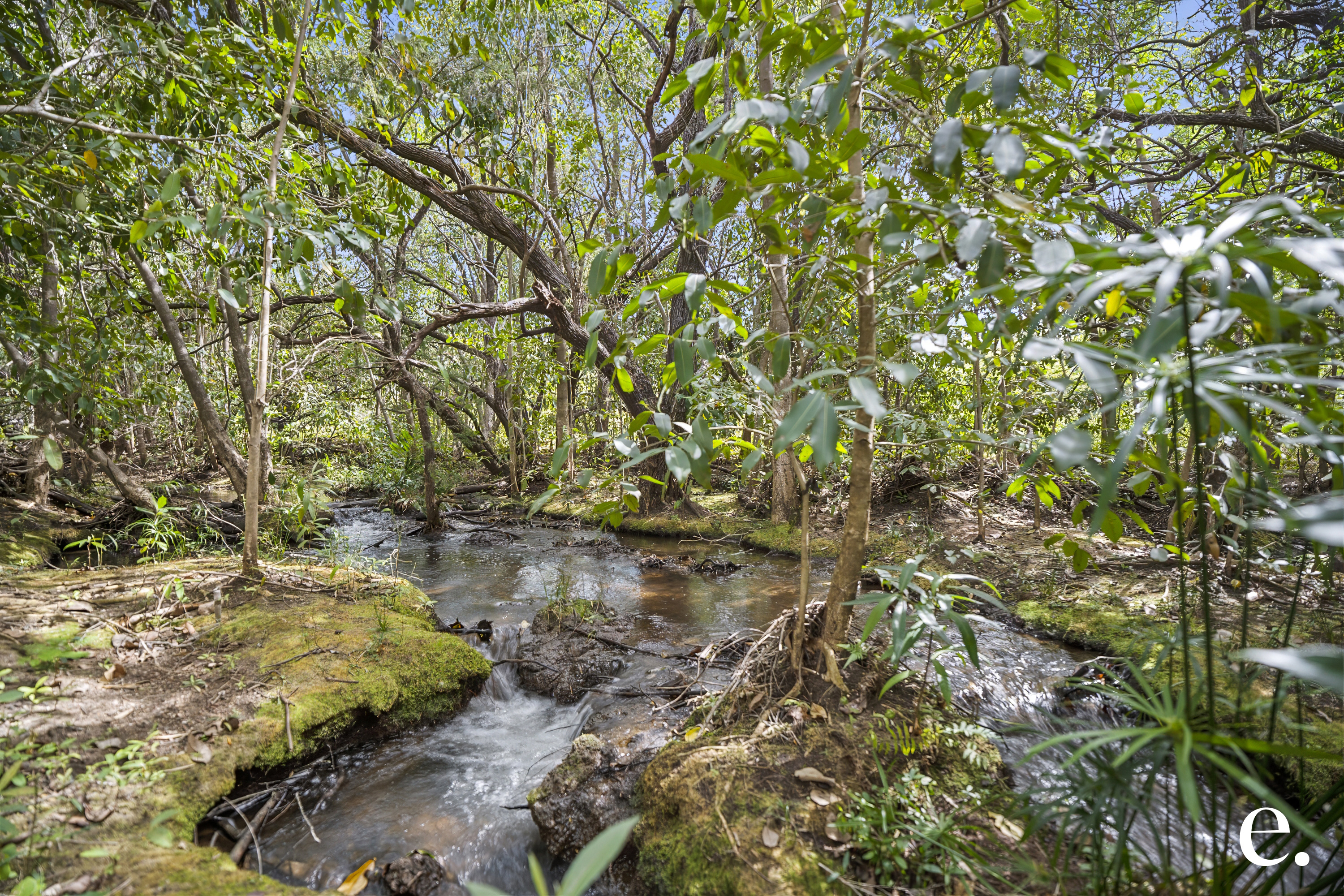 11 Kenneally Road, Mareeba - Thumbnail 5
