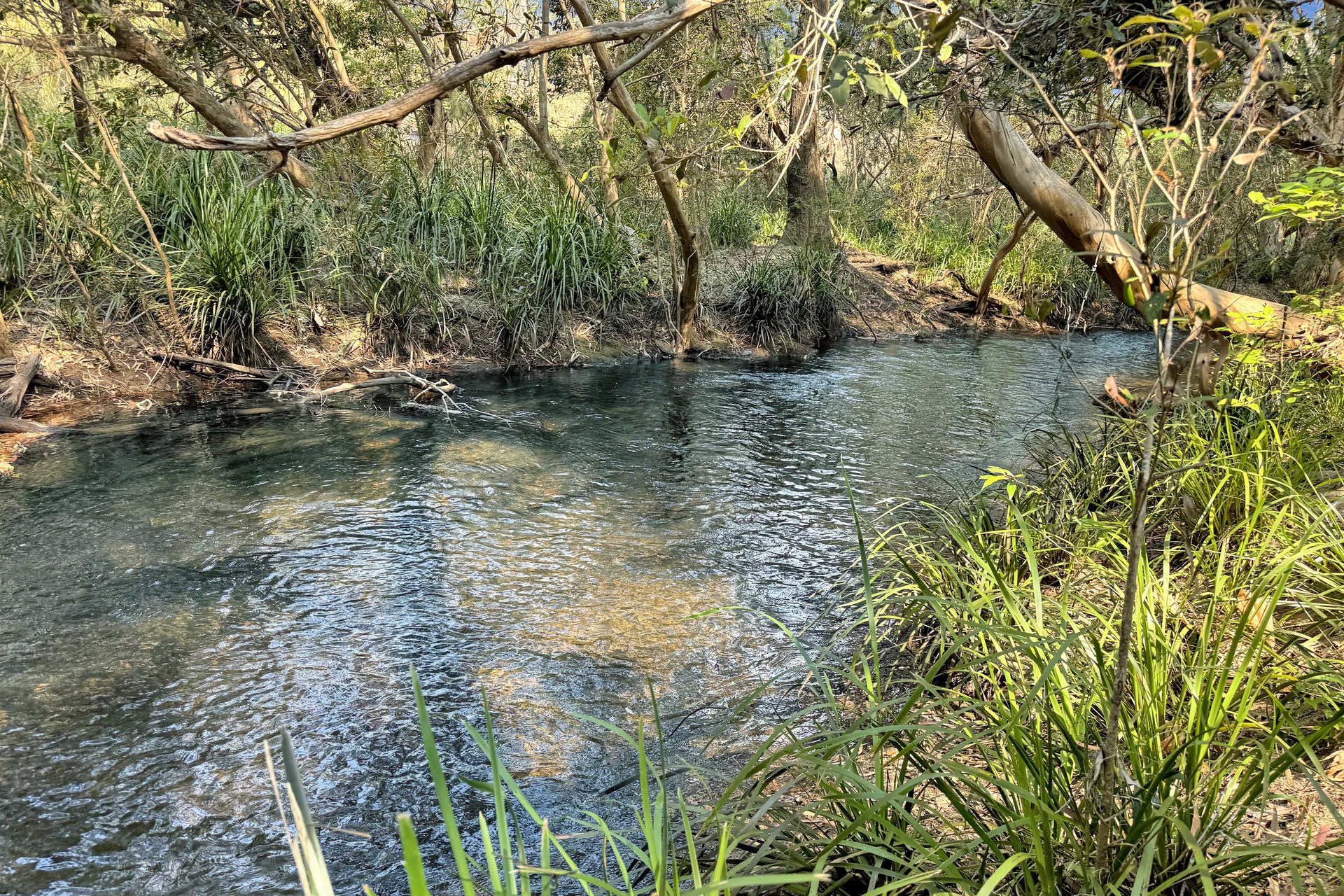 3345 Kennedy Highway, Mareeba - Thumbnail 2