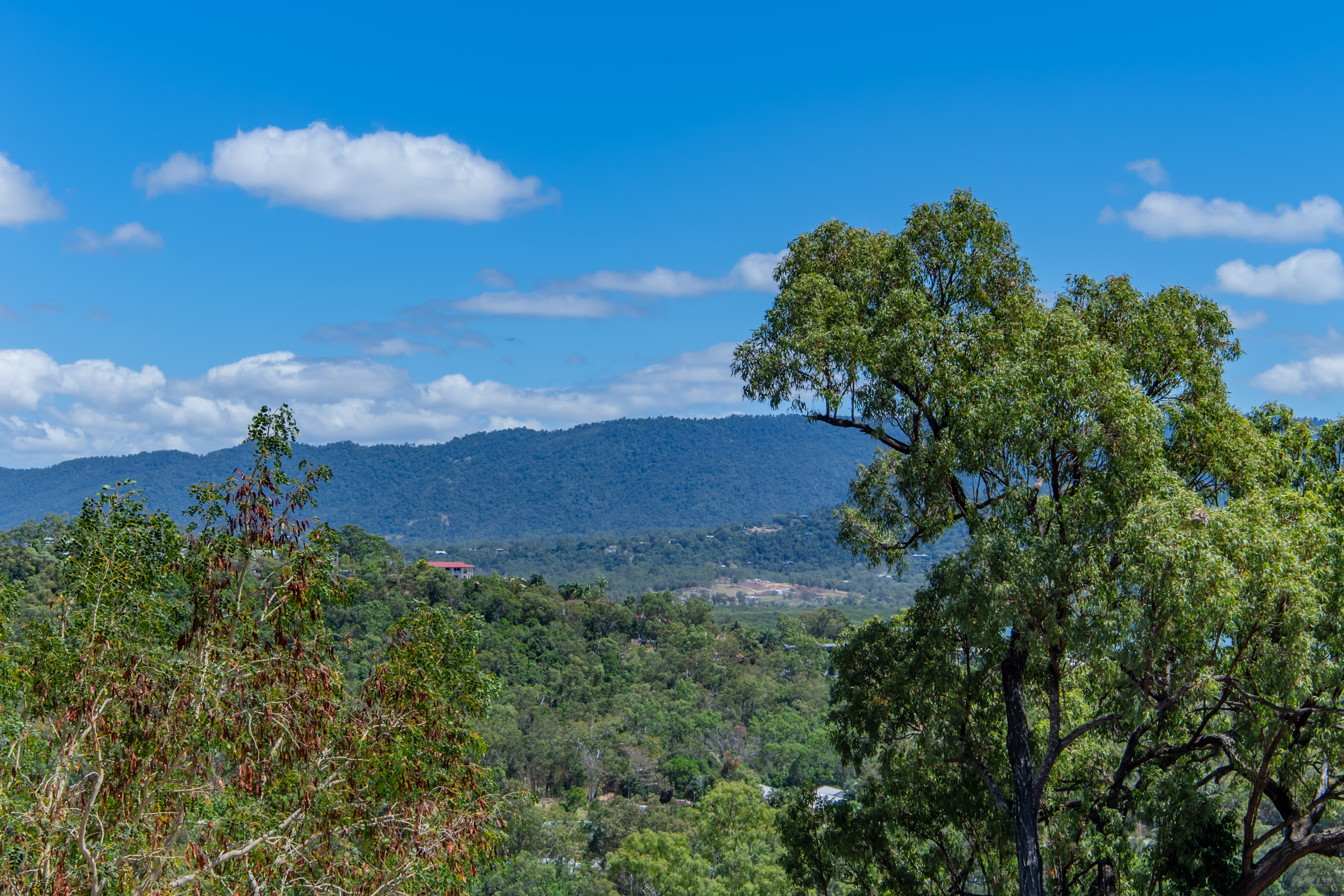 1 Macona Crescent, Cannonvale - Thumbnail 6