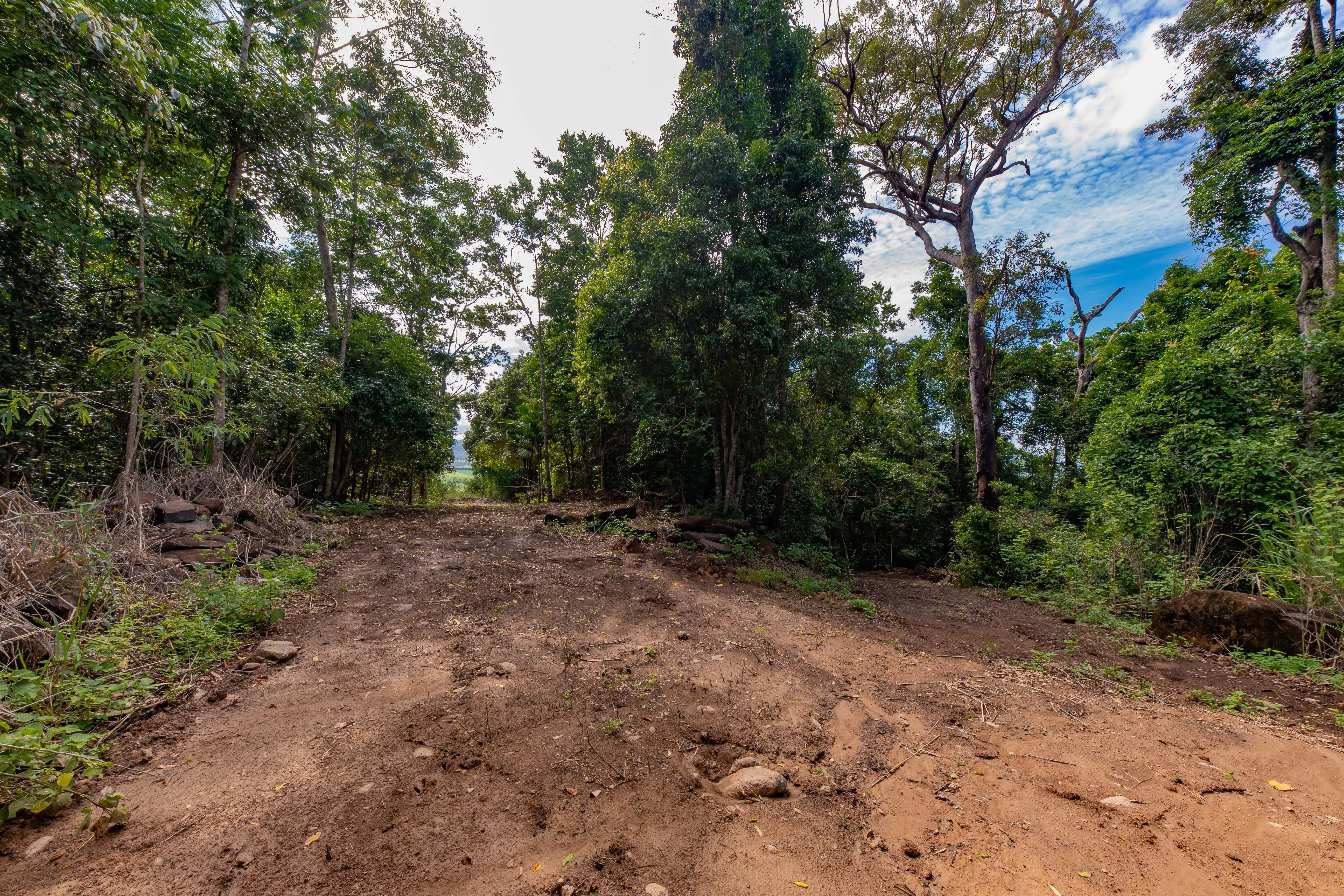 29 Staniland Drive, Strathdickie - Thumbnail 6