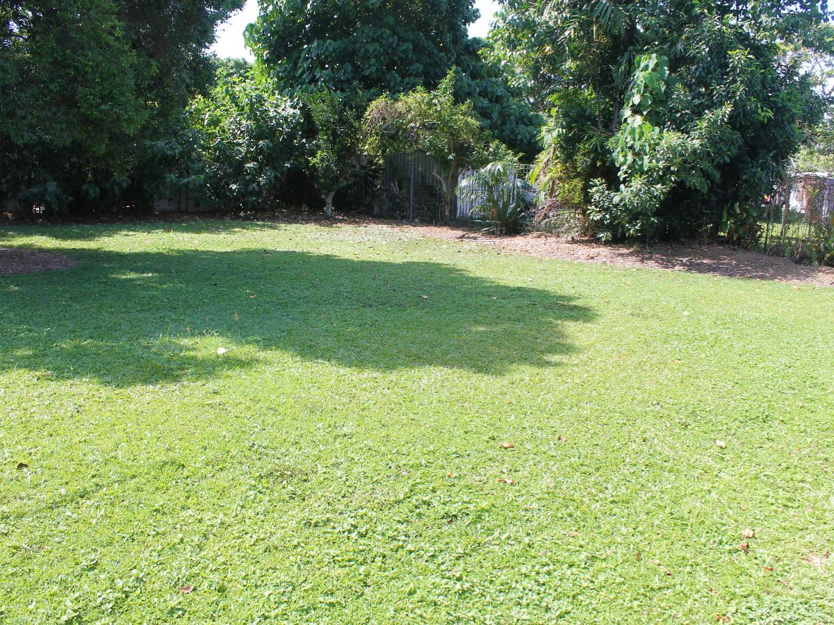 14 Friendship Street Bentley Park Qld 4869 Felix
