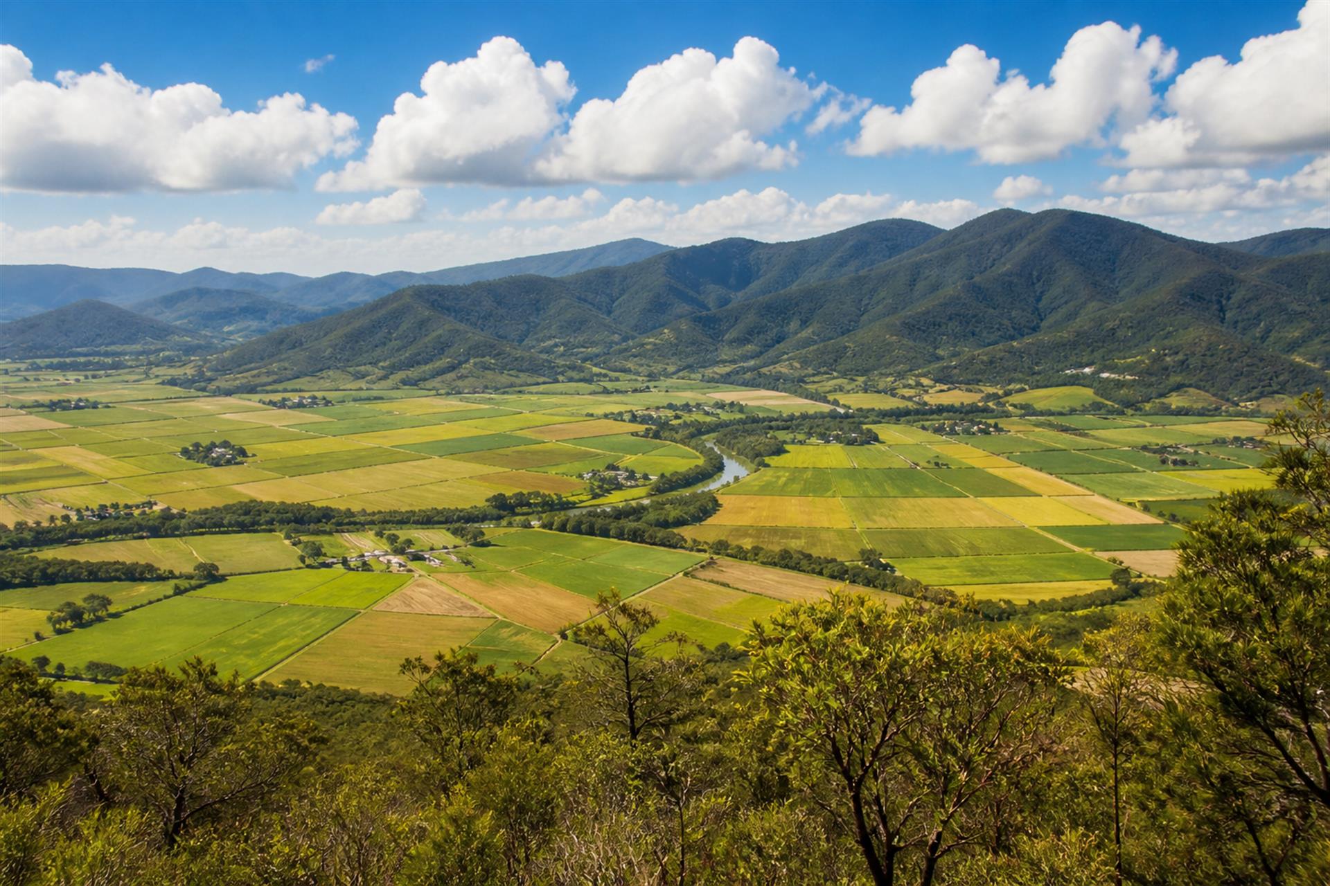 Blog: South Side Cairns Housing Supply: Why Local Knowledge Matters More Than Ever