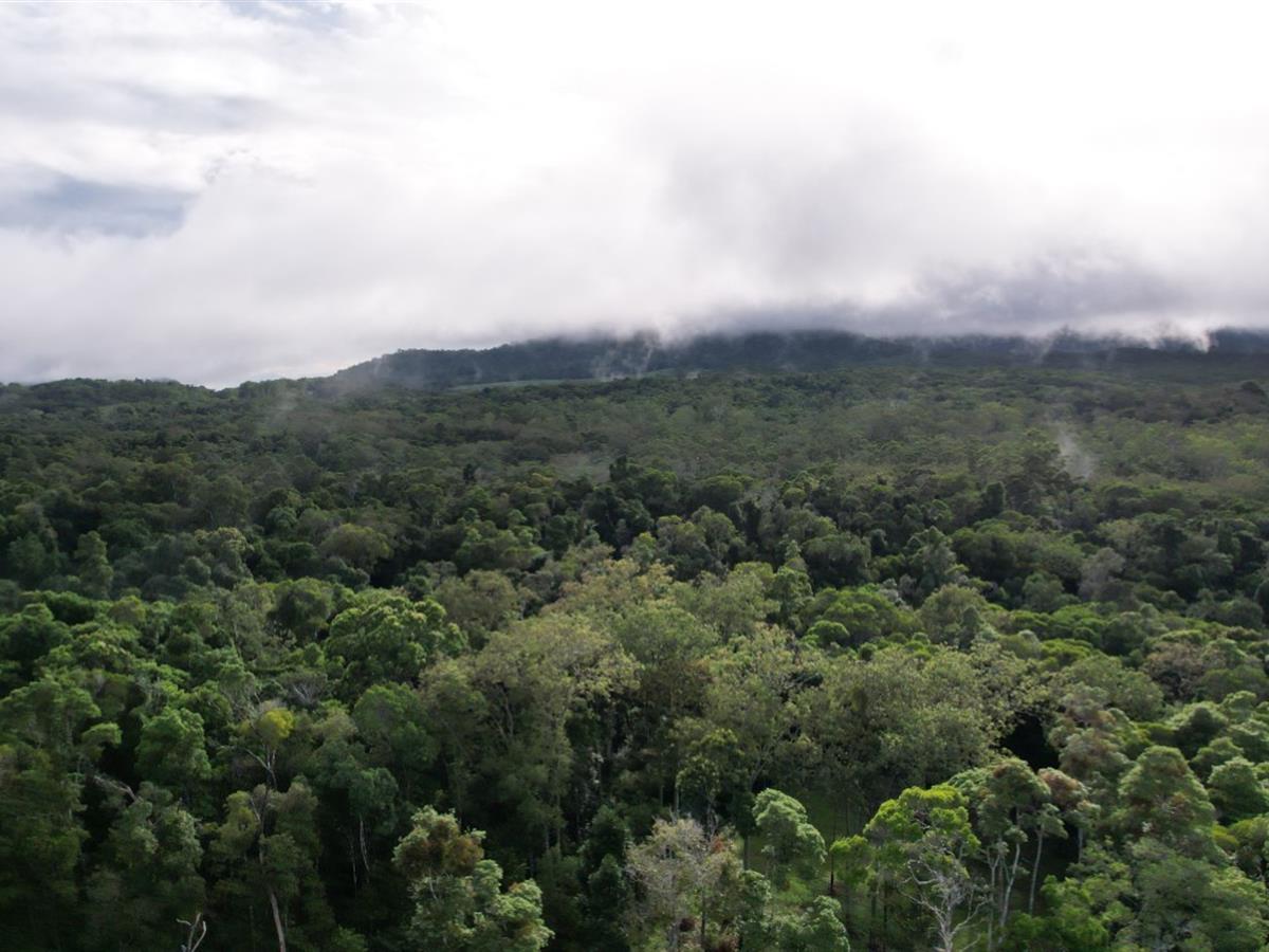 Property Sale at Lot 62 Ganyan Dr, Speewah QLD, 4881 Kuranda Real