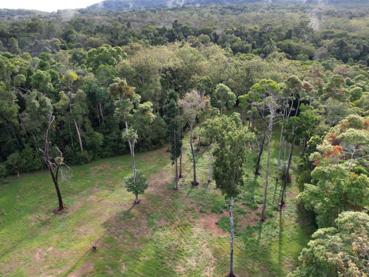 Property Sale at Lot 62 Ganyan Dr, Speewah QLD, 4881 Kuranda Real