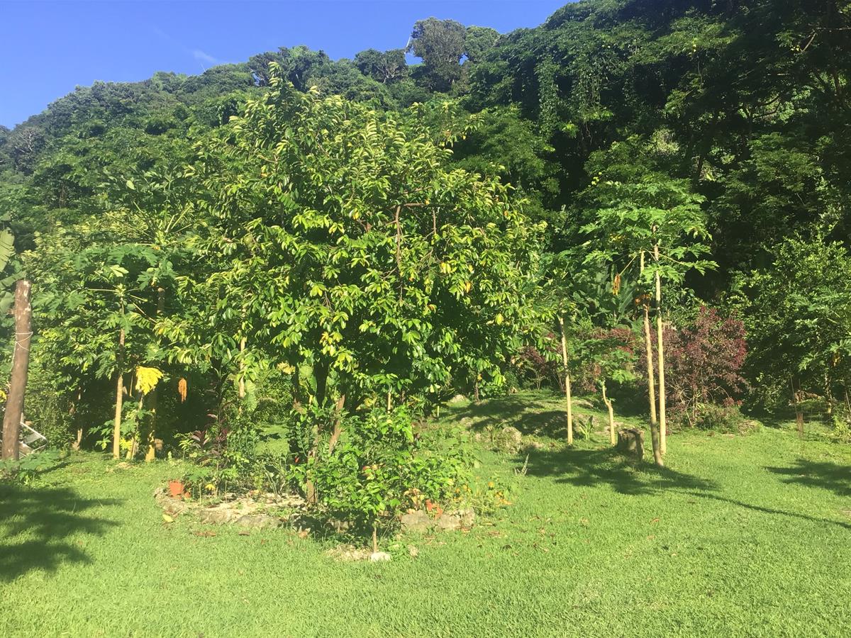 HOUSE + LAND FOR SALE IN BUKURA, photo 2 of 13