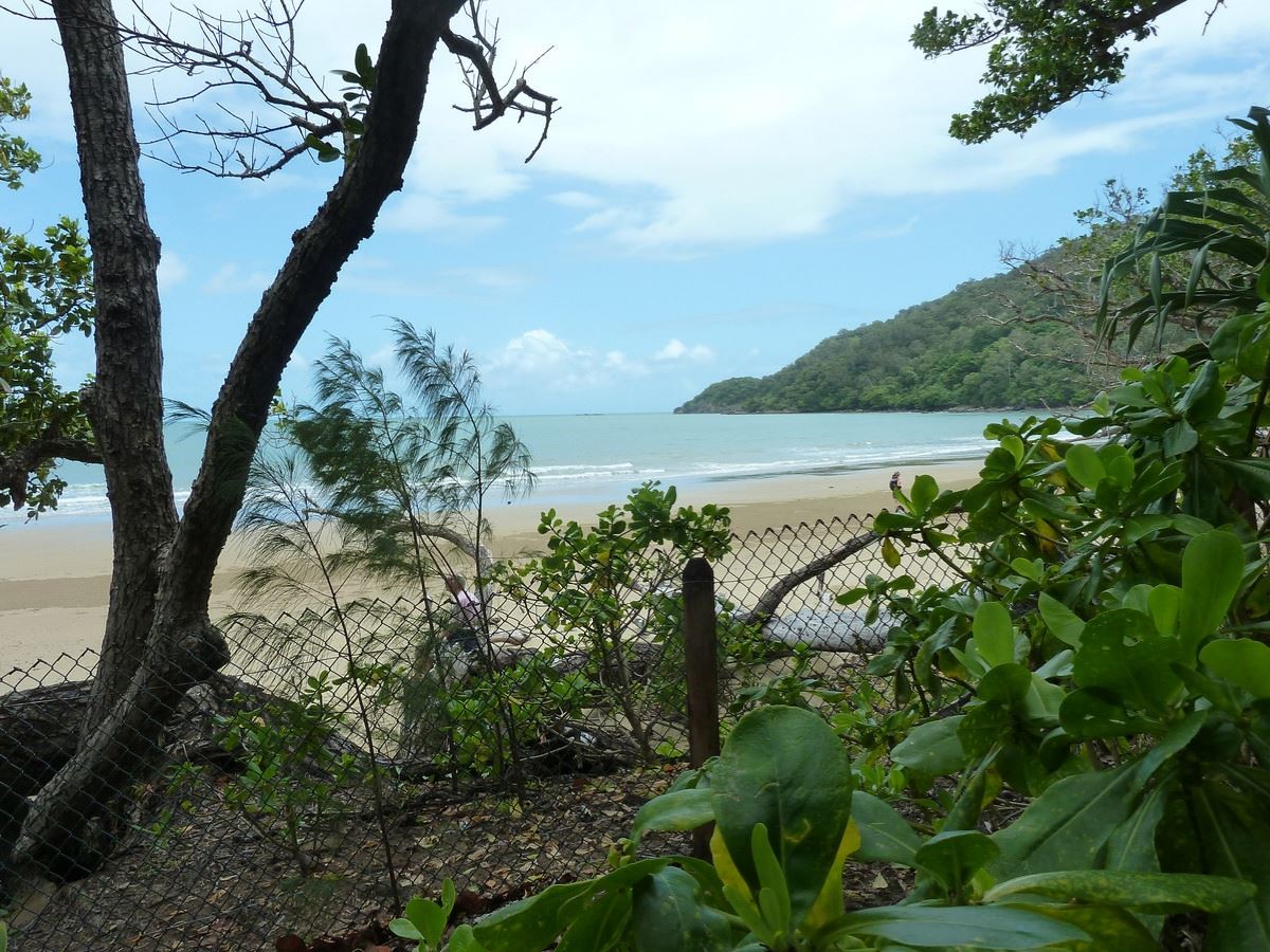 Property Sale at Lot 203 Cedar Road, Cow Bay QLD, 4873 Quaid Real